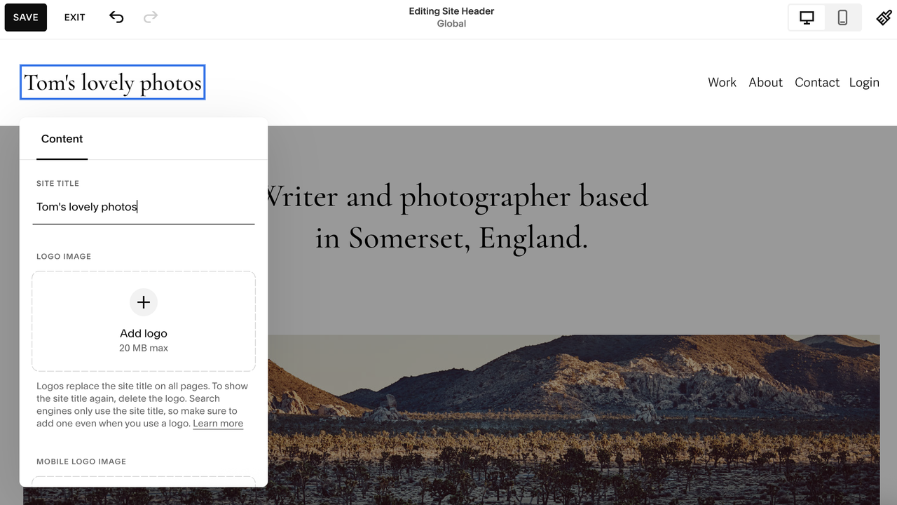 Screengrab showing text being added to website in Squarespace interface