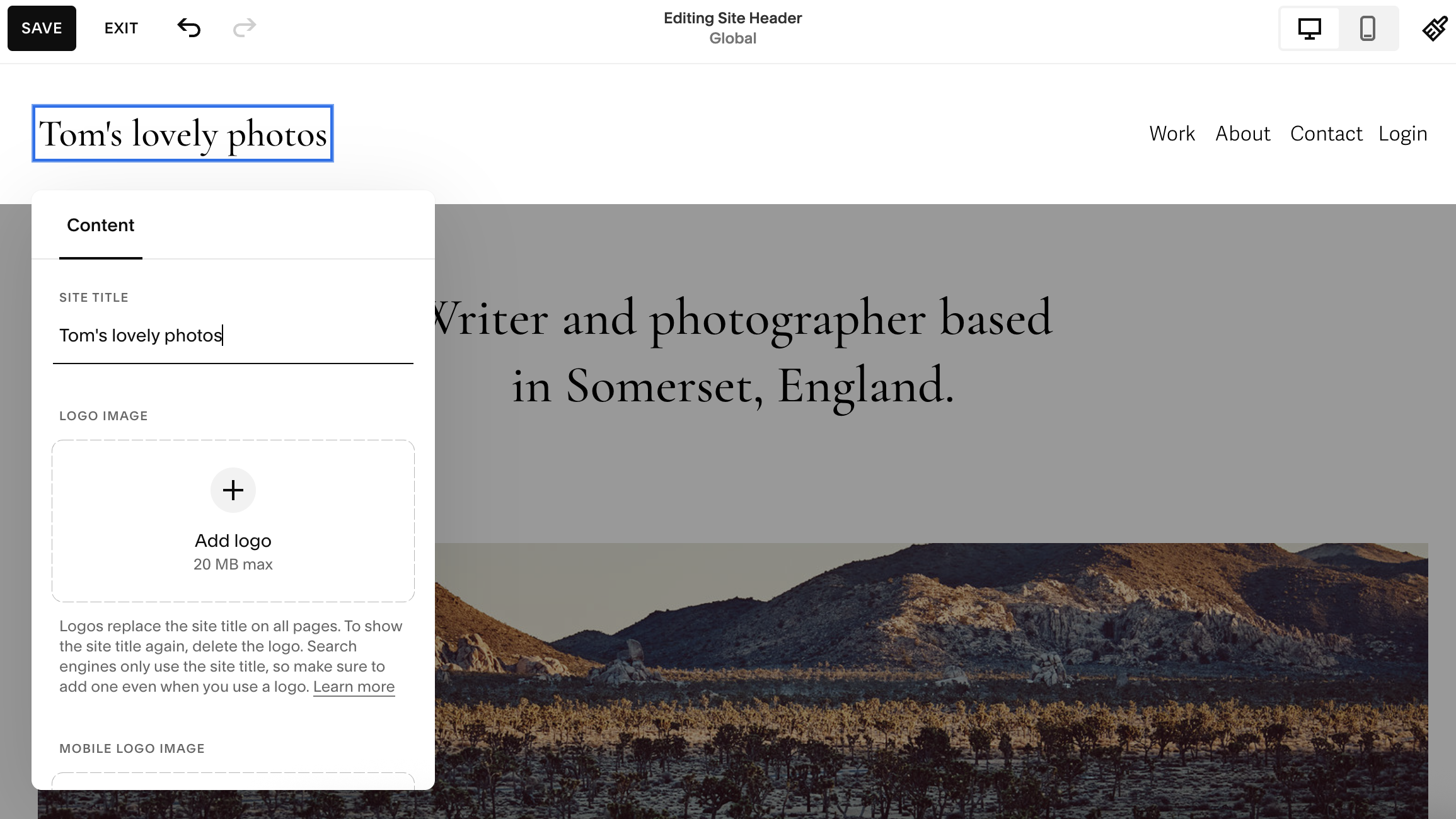 Screengrab showing text being added to website in Squarespace interface