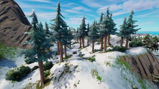 Fortnite Timber Pines locations