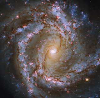 In this breathtaking image captured by the Hubble Space Telescope, the bright heart of the "starburst" galaxy M61 shines, surrounded by outstretched, winding arms. M61 is classified as a starburst galaxy because of its bright, glowing spots of star formation that can be seen as "rubies" of reddish light in this image.