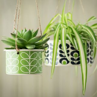 hanging potted plants with retro design