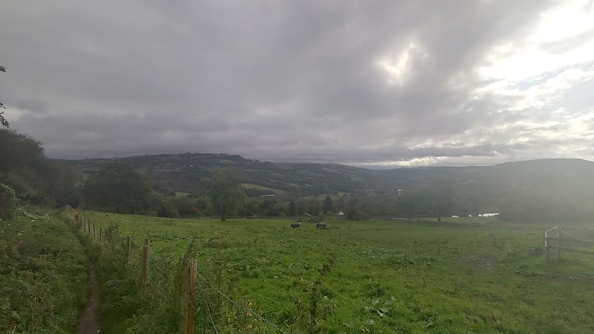 Motorola One Zoom camera sample