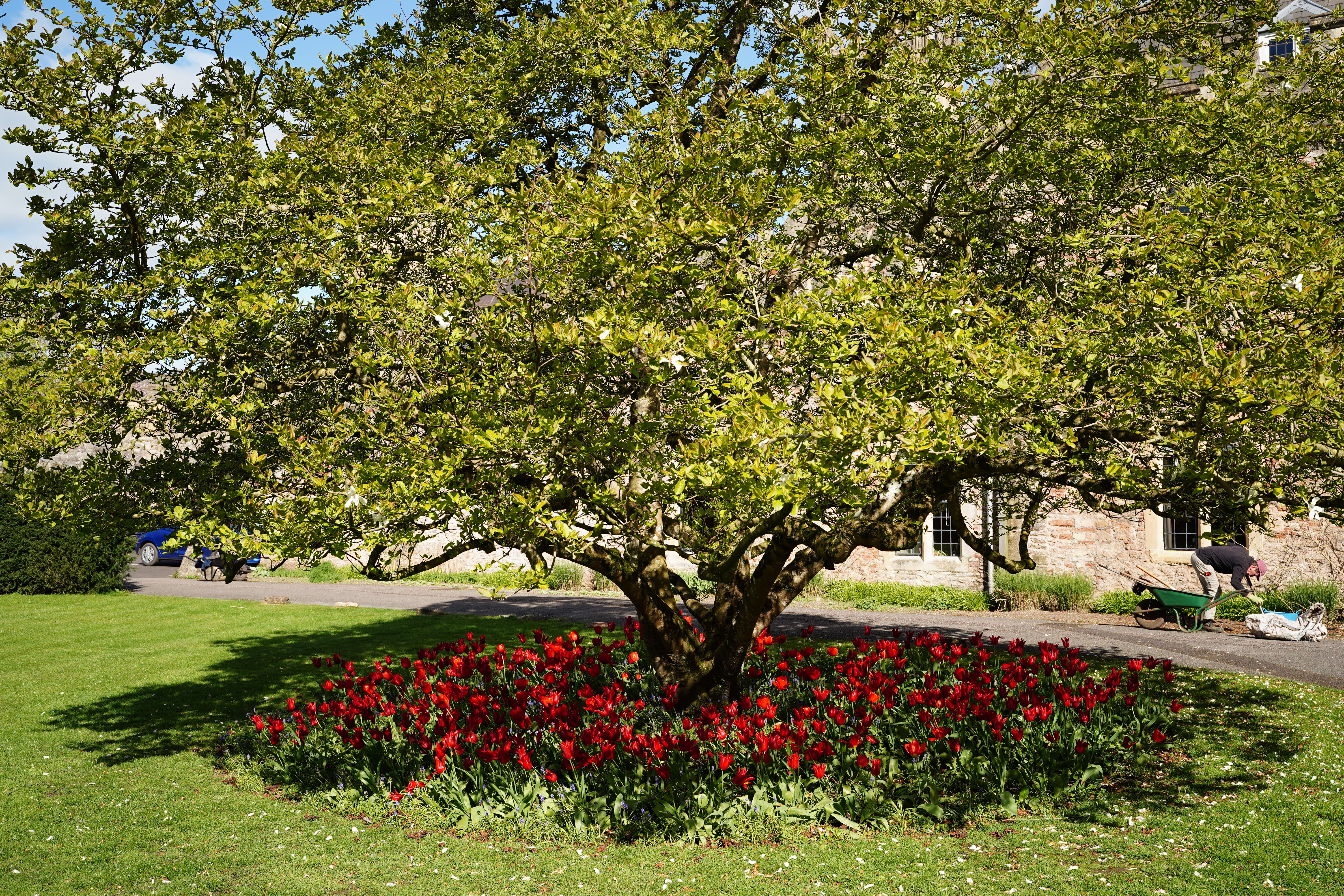 Sigma 35mm f/1.4 DG II Art sample image