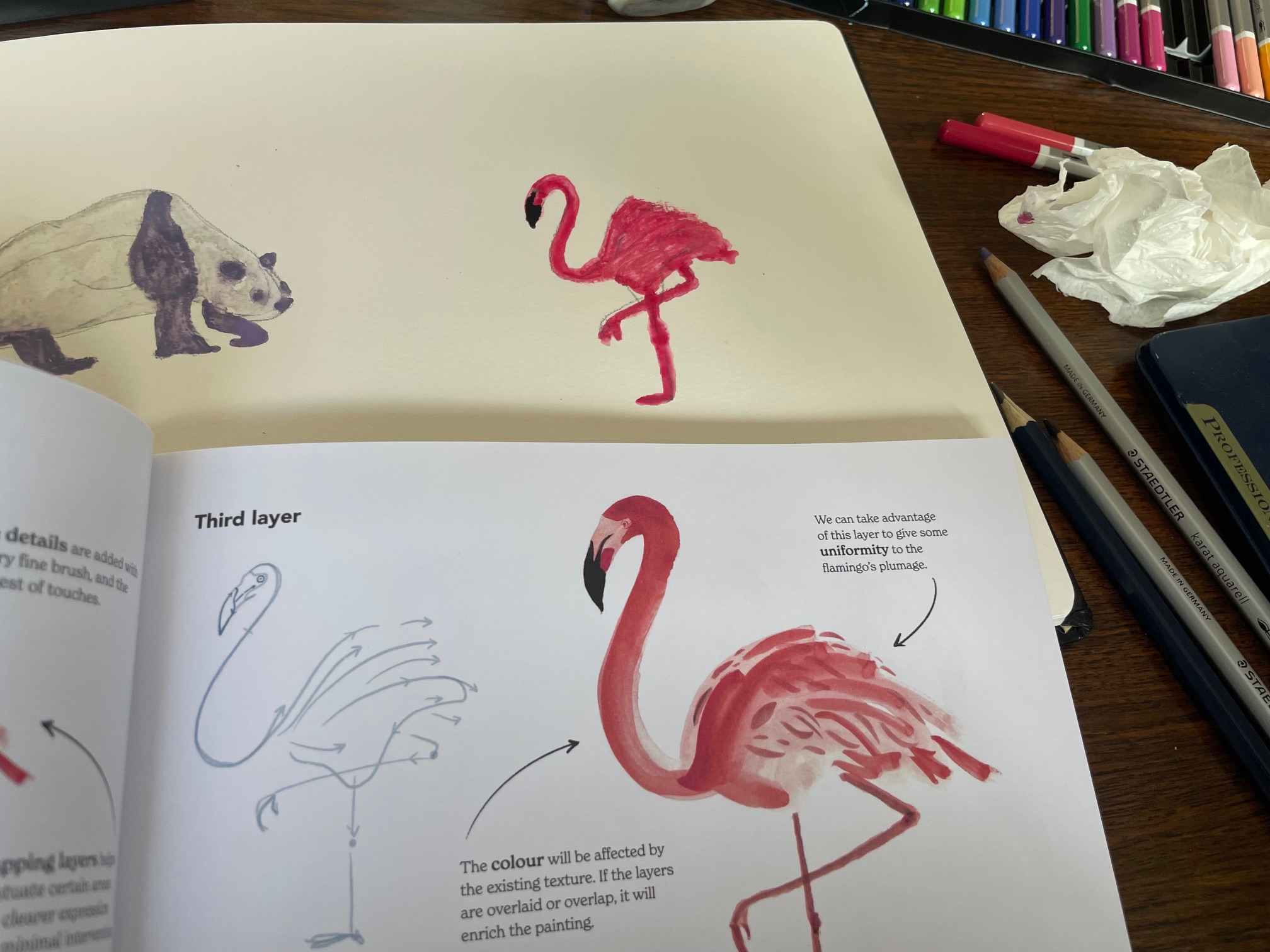 drawings of a flamingo in watercolour using book