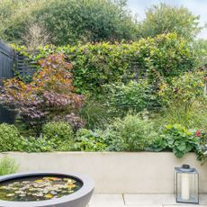 garden with raised beds and lamp