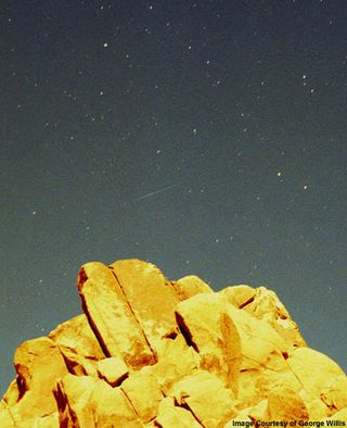 Image of remnants of Tempel-Tuttle comet taken in Joshua Tree National Park in Southern California