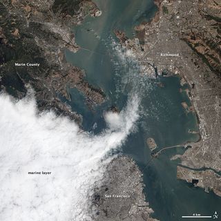 San Francisco Fog Satellite Image