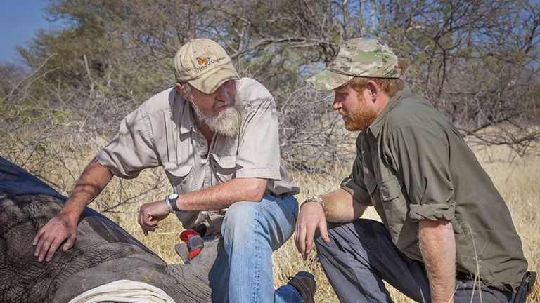 Prince Harry Announced As Patron of Rhino Conservation Botswana