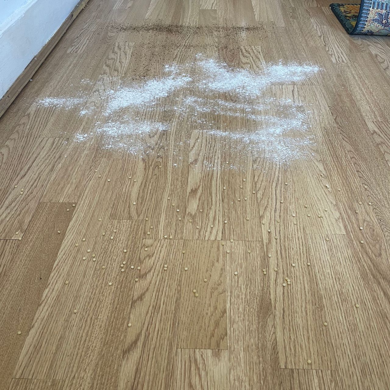 Hardwood floor covered in cous cous, flour and sugar, and coffee grounds