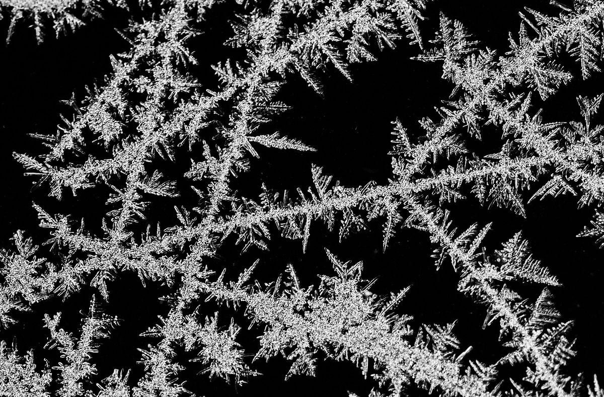 The Abstractness of Ice by Heidi Elena image