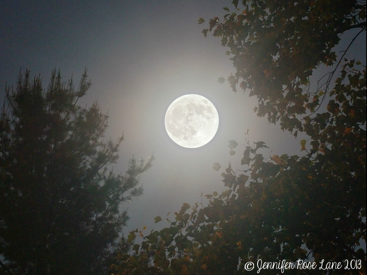 Amazing Full Moon & 3 Dazzling Planets of May 2013 (Photos) | Space