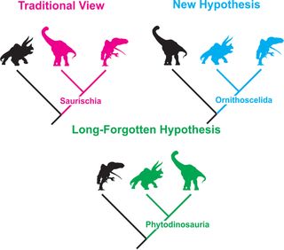 Dinosaur Family Trees