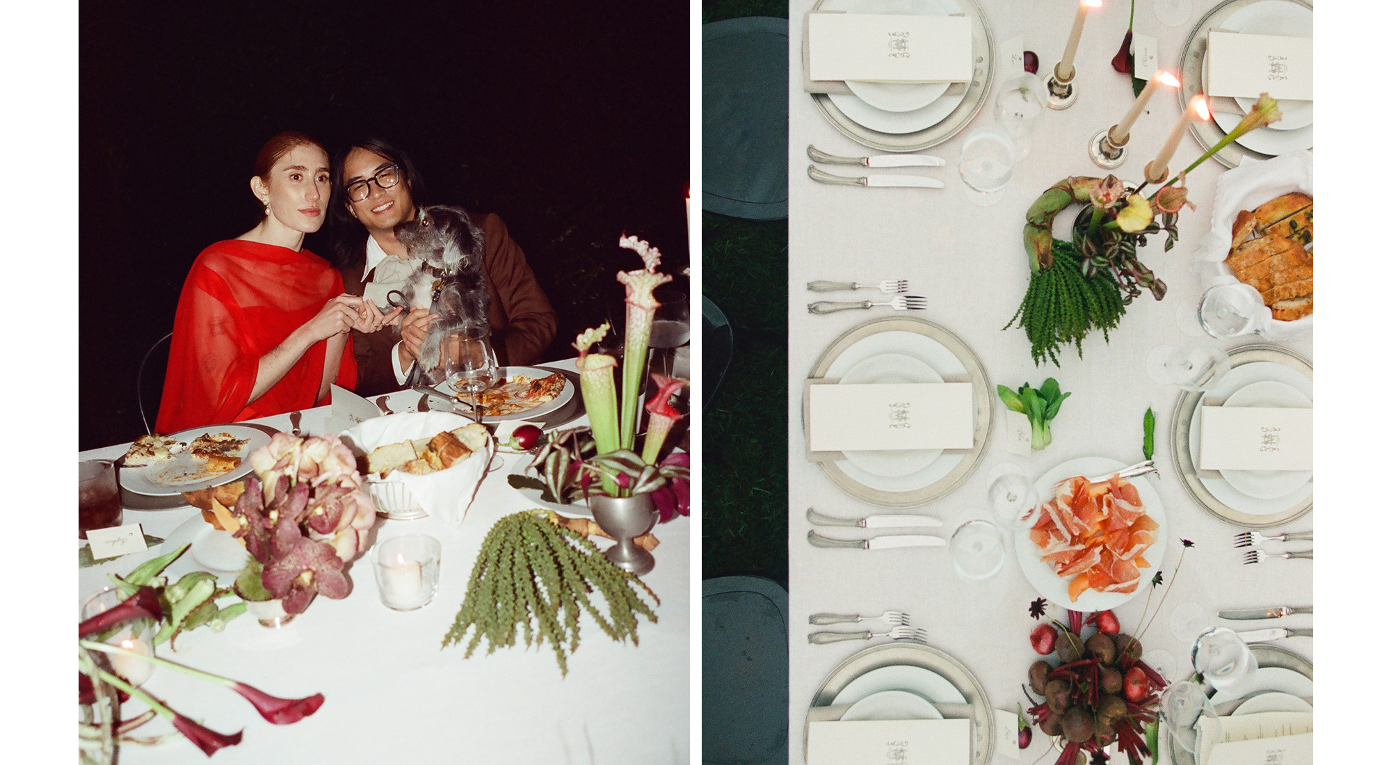 image from sophia and mik's wedding reception.