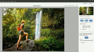 Interface showing photo of woman standing near waterfall