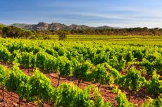 micro crus of Provence