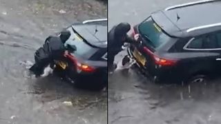 dog pushes car down flooded street