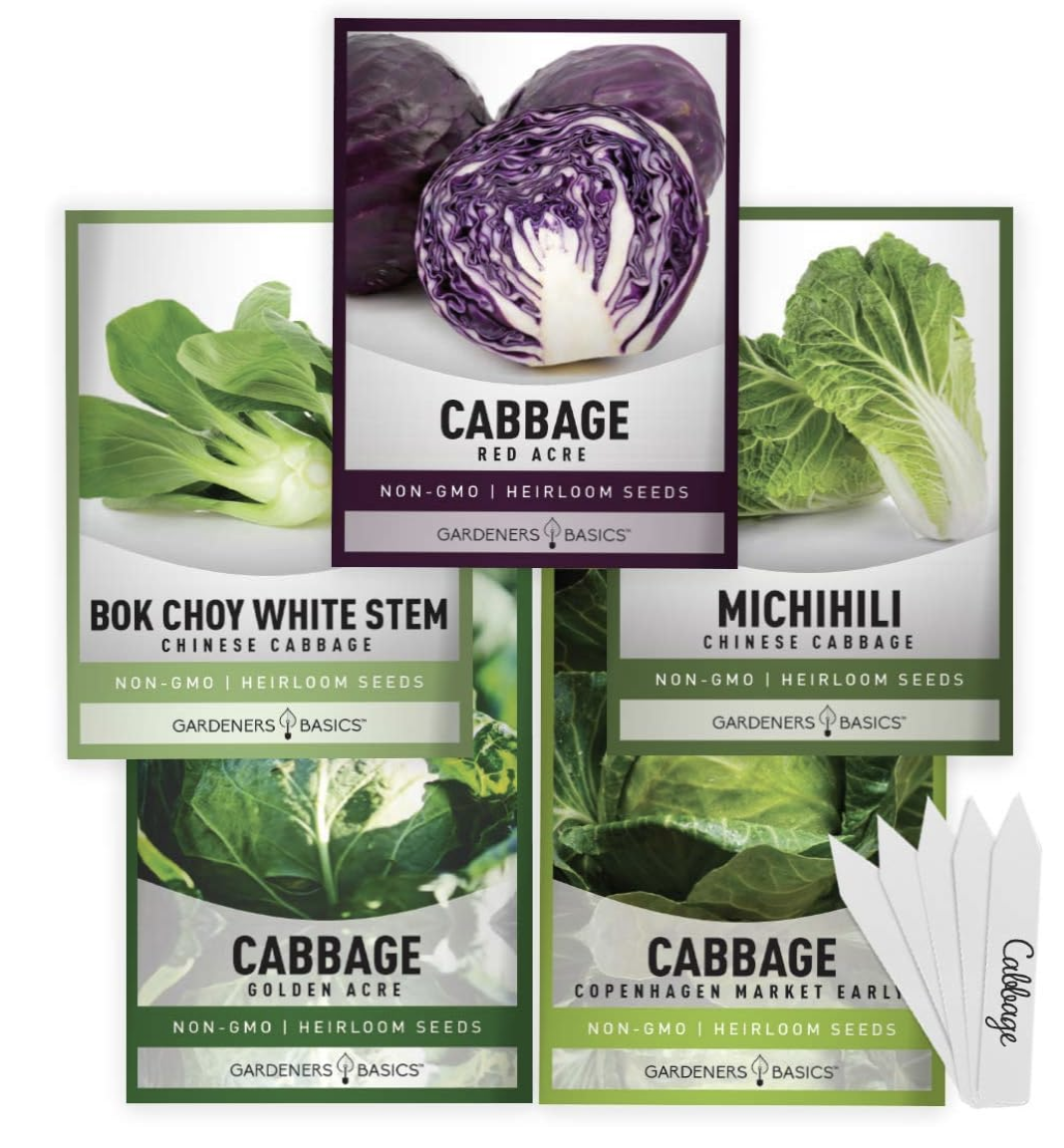 vegetable seeds