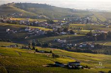 Fleurie vineyards in Beaujolais
