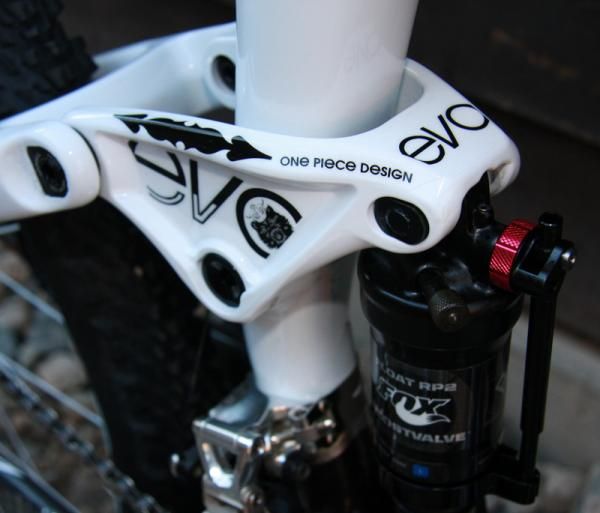 The Gran Fondo bear even made it onto the suspension linkage.