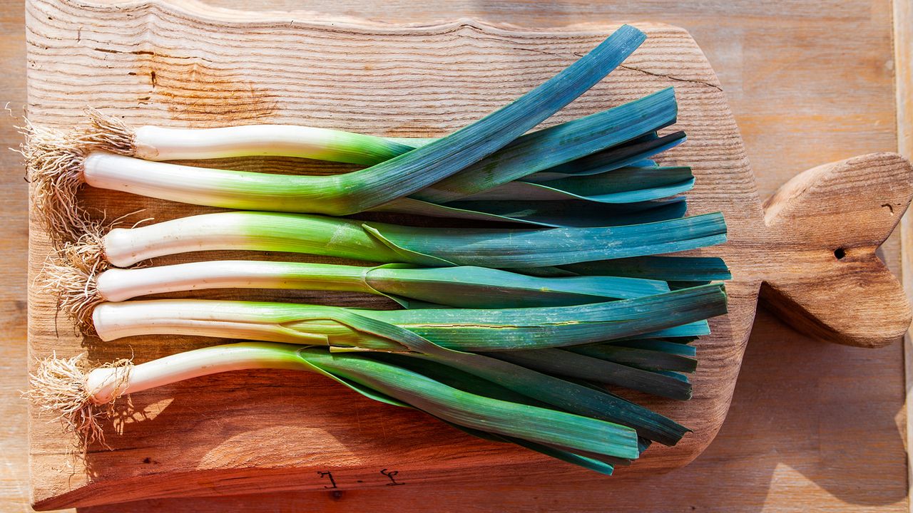 How to grow leeks