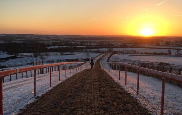 Dan Skelton Gallops