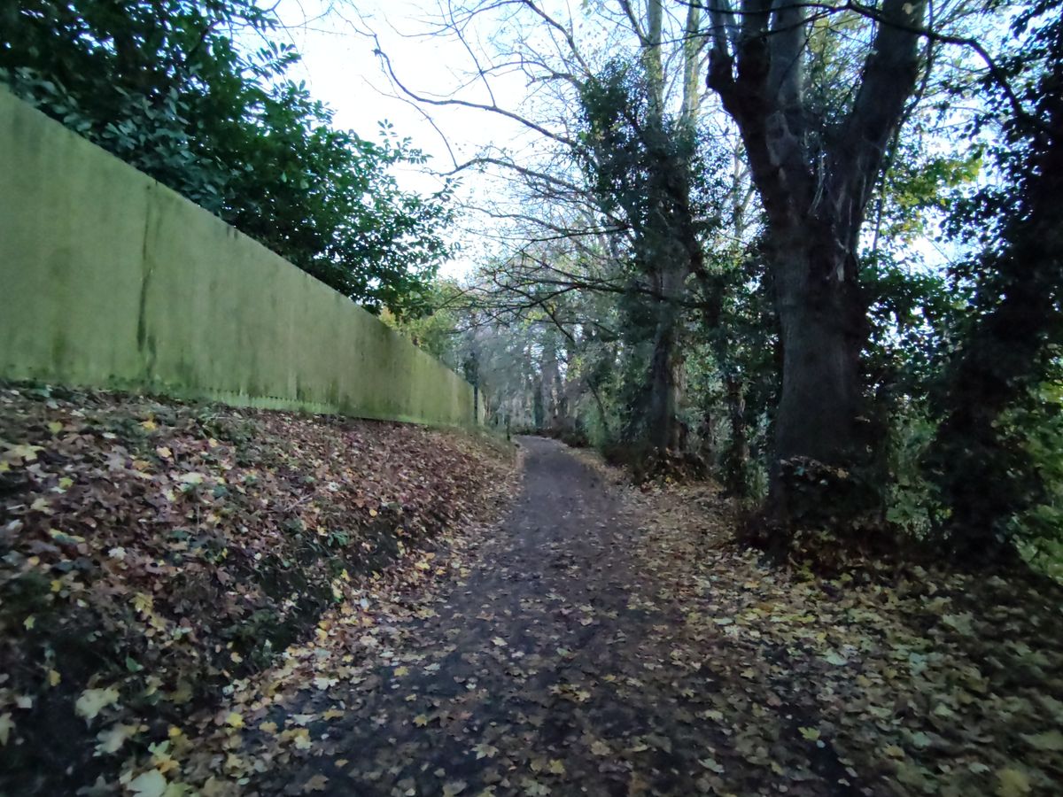 Photo of a walkway taken with the HoverAir X1 PRO drone