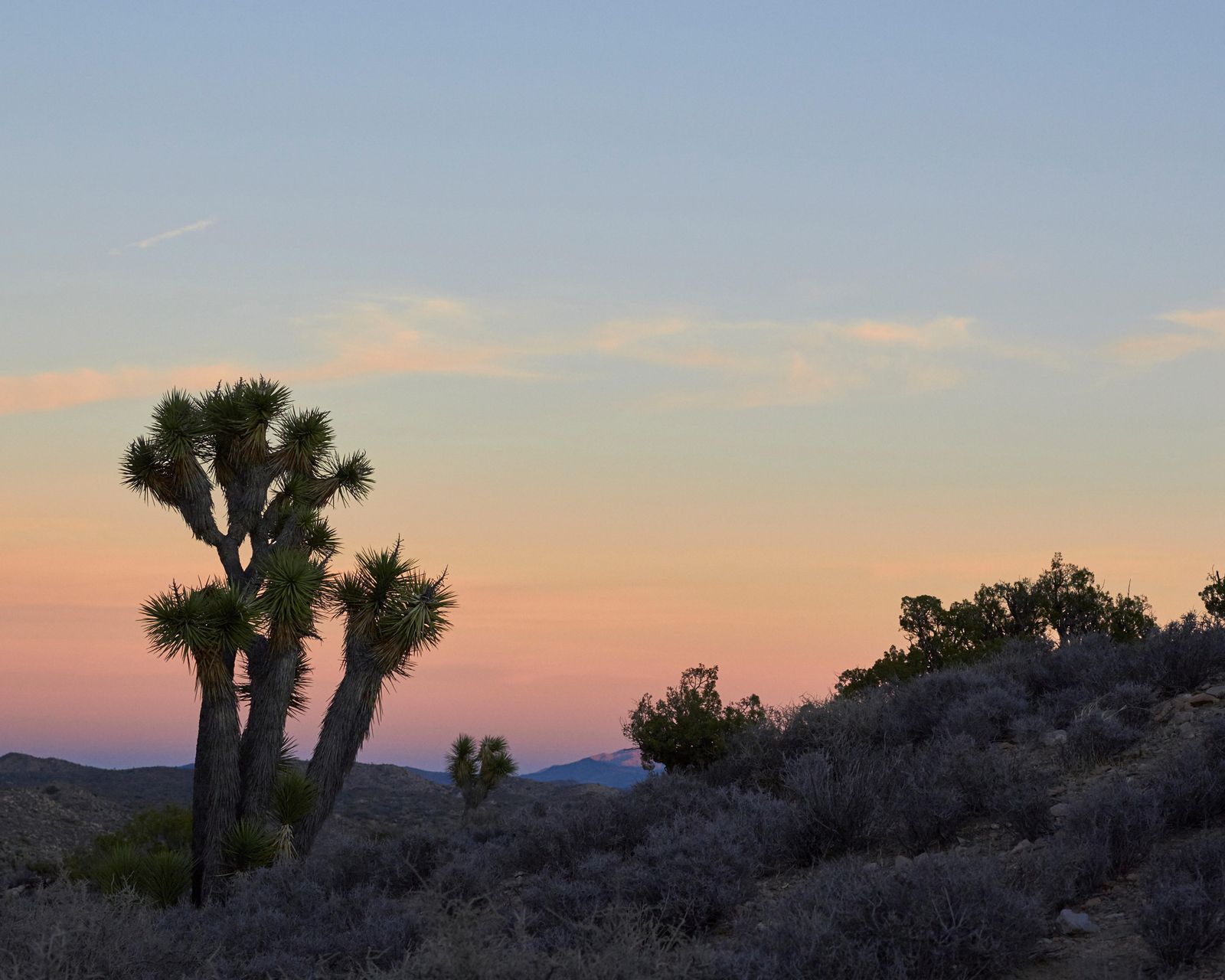 These are the best places to buy a vacation home in California Homes