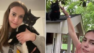 TikTok user Julia Davis discovers stray cats in new home