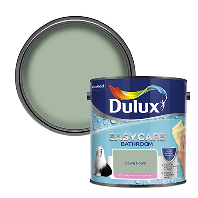 Dulux paint
