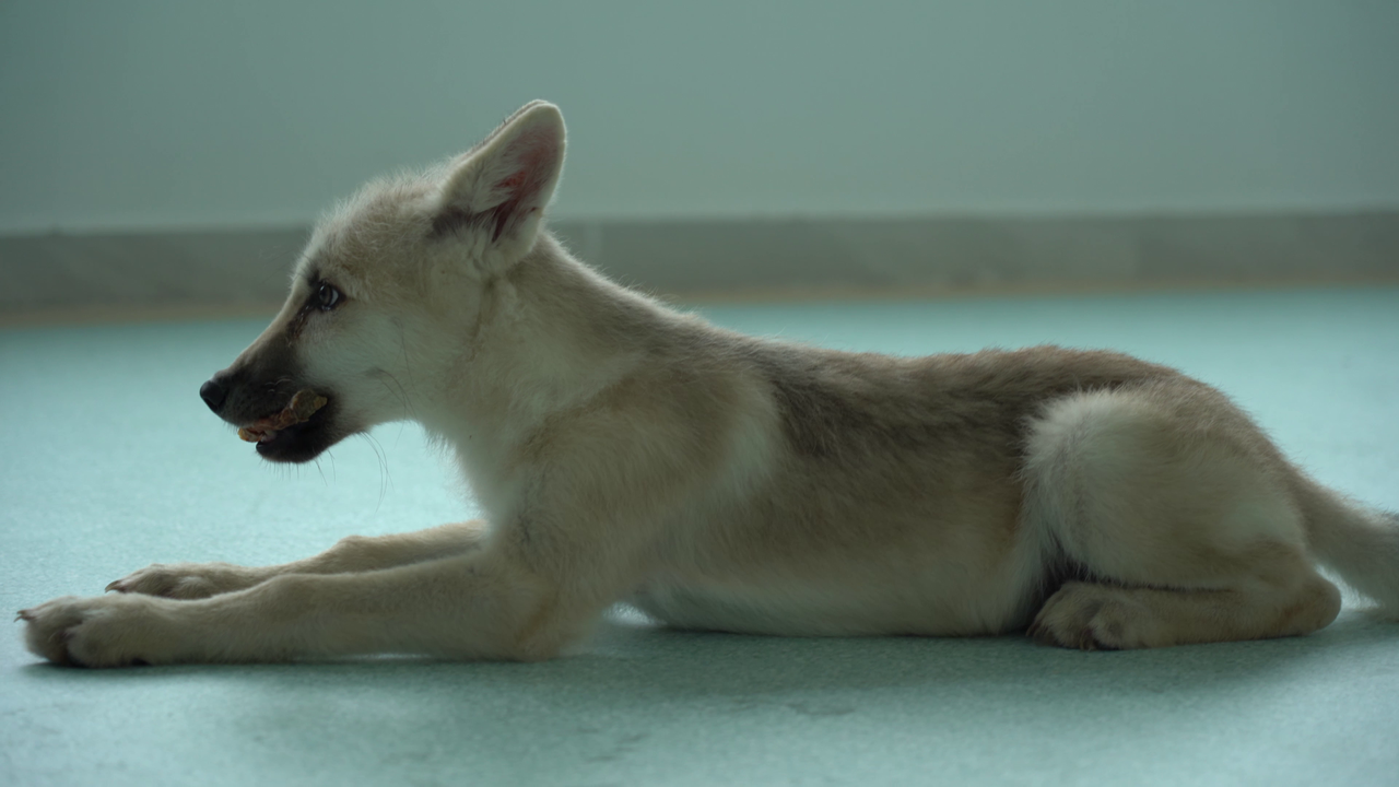 Maya lies down during the new video.