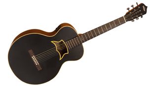 Vintage Guitars Raven, designed by Paul Brett