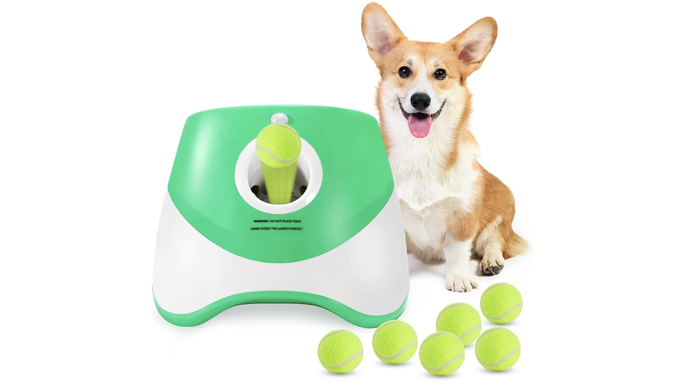 Dog with automatic ball throwing machine