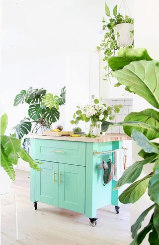 A small kitchen island on castors painted in a turquoise color and surrounded by houseplants