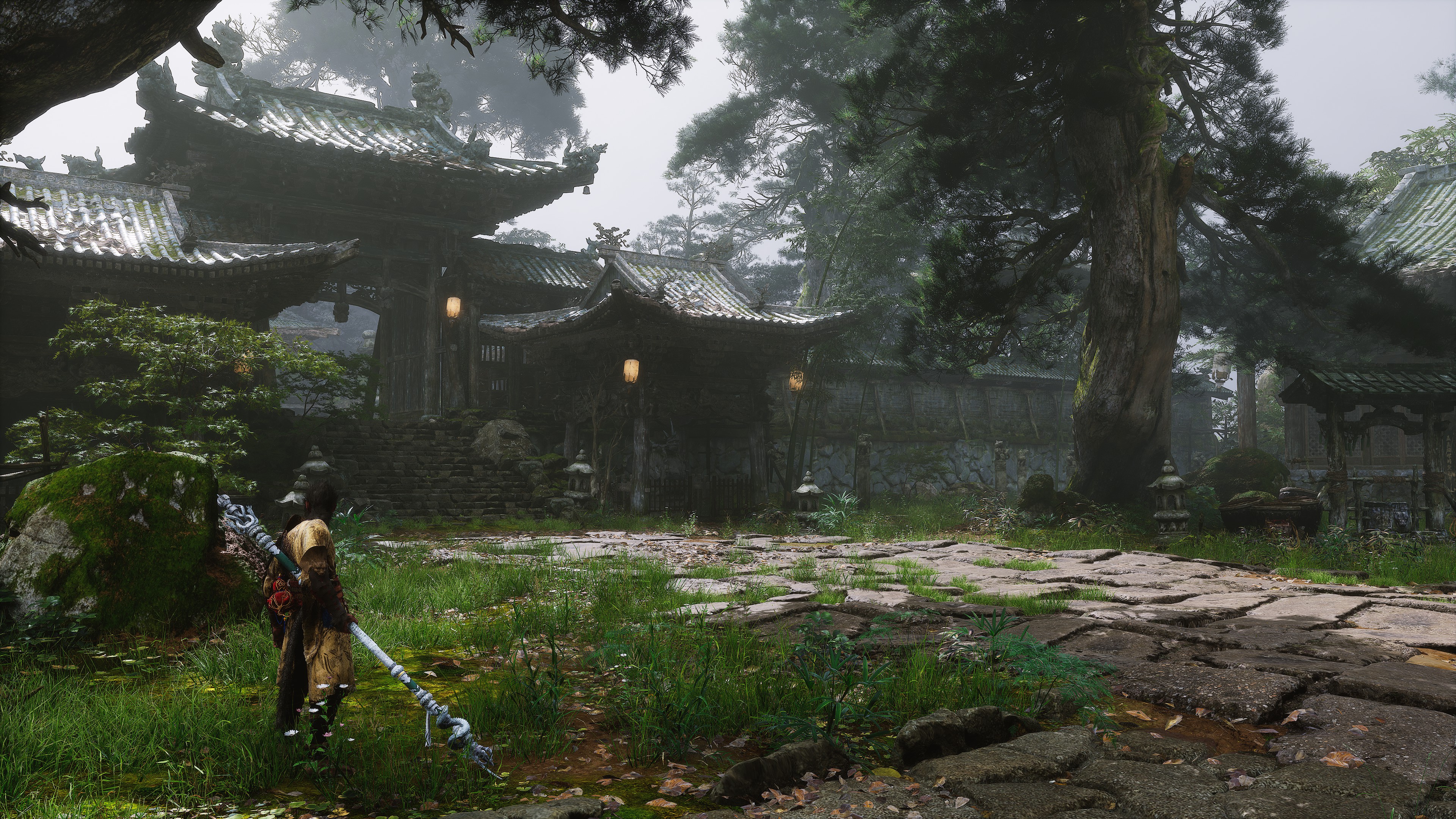 A screenshot of Black Myth: Wukong, using the game's photo mode