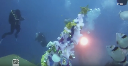 A Christmas tree under the sea on the MS Zenobia shipwreck.