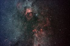 Northern constellation Cygnus by Josh Knutson