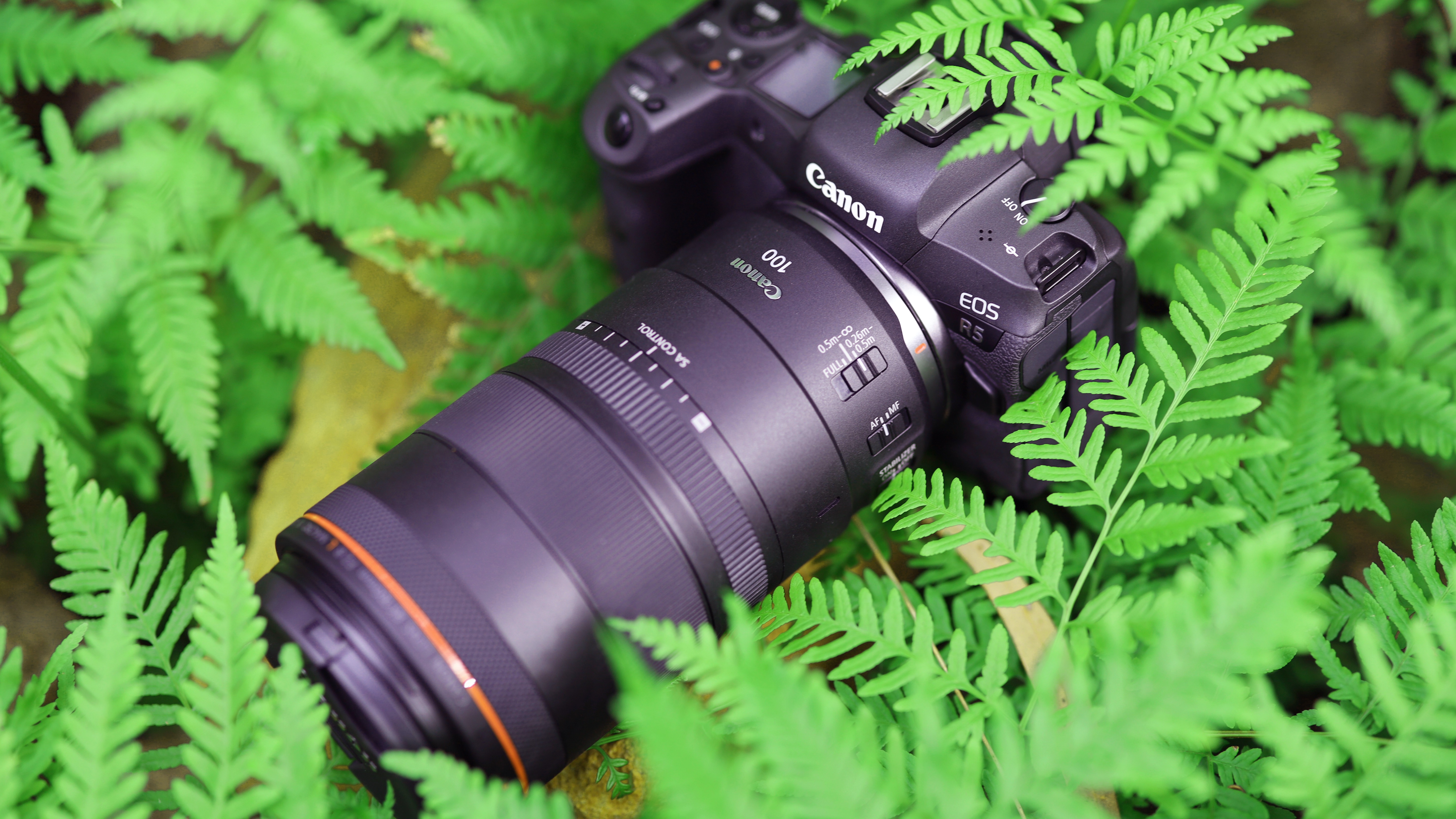 Canon's EOS R mirrorless camera range gets its first true macro lens