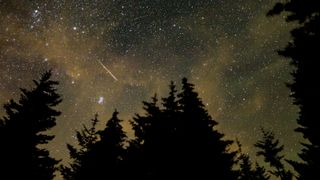 A meteor streaking across the sky during the annual Perseid meteor shower.