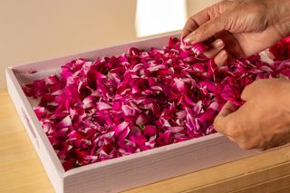 hand reaching into a box of rose petals