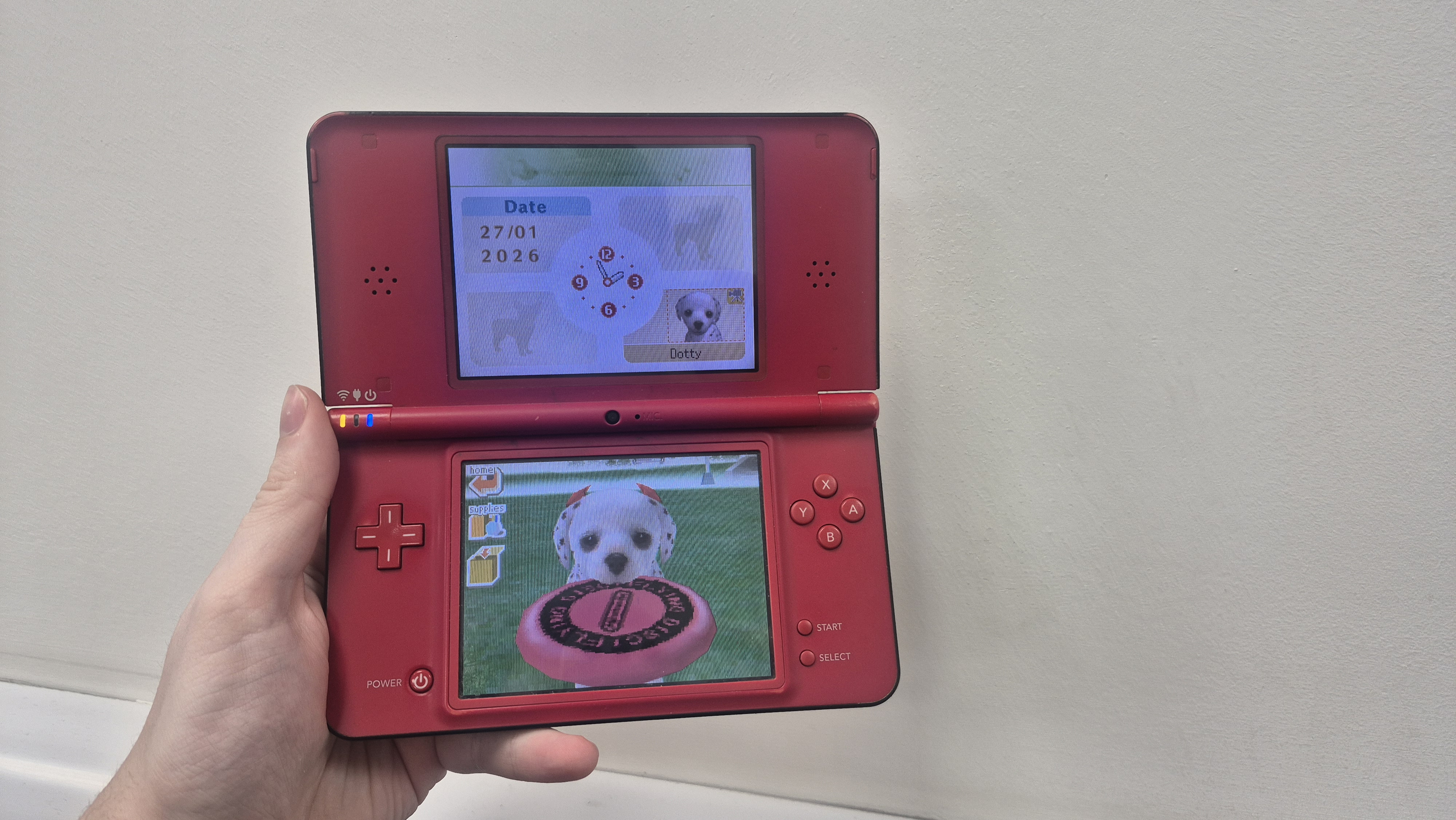 Man holding DSi XL with dalmatian holding a frisbee in it's mouth in Nintendogs