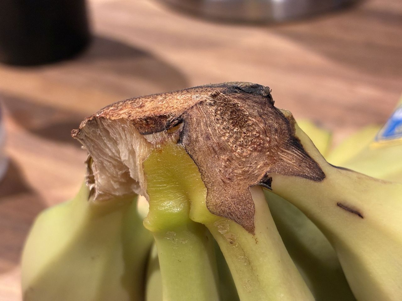Apple iPhone 16e macro sample.