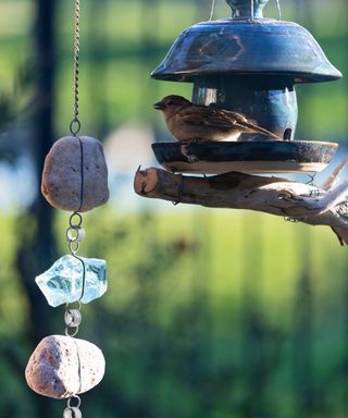 A sparrow taking shelter in a silver house shaped bird feeder with a rock and glass rain chain next to it