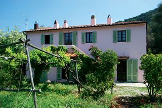 properties for sale in Elba