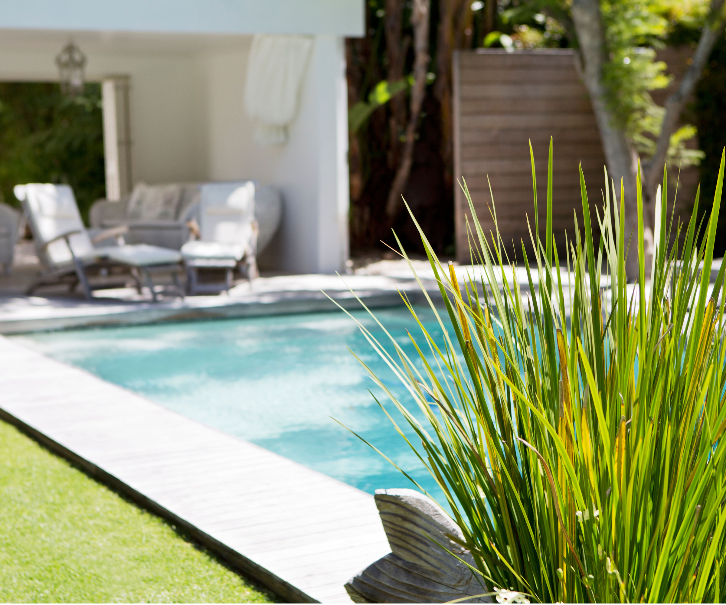 Minimalist backyard with pool