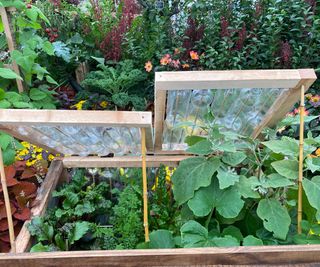 cold frame with lid made from plastic bottles