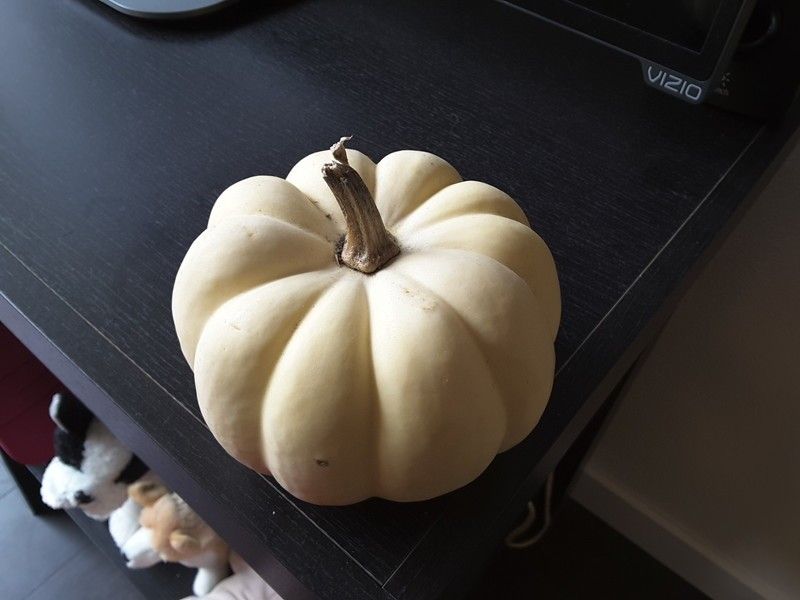 Samsung Galaxy Tab S2 8.0 camera sample