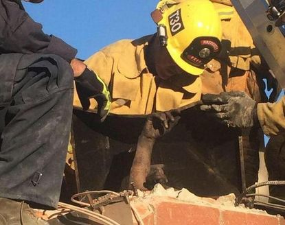Woman arrested after trying to break into a home and getting stuck in the chimney
