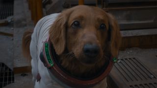 Cosmo The Spacedog in Guardians of the Galaxy Vol. 3
