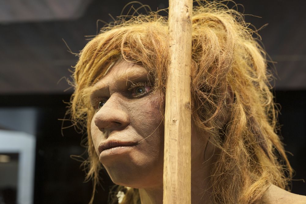 Light Seeking Light: French Neanderthal Babe