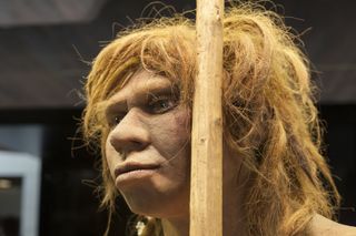 neanderthal woman